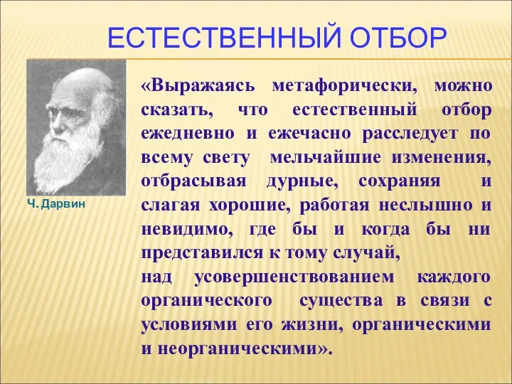 ЕСТЕСТВЕННЫЙ ОТБОР Ч. Дарвин «Выражаясь метафорически, можно сказать, что естественный