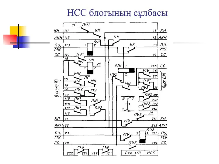 НСС блогының сұлбасы