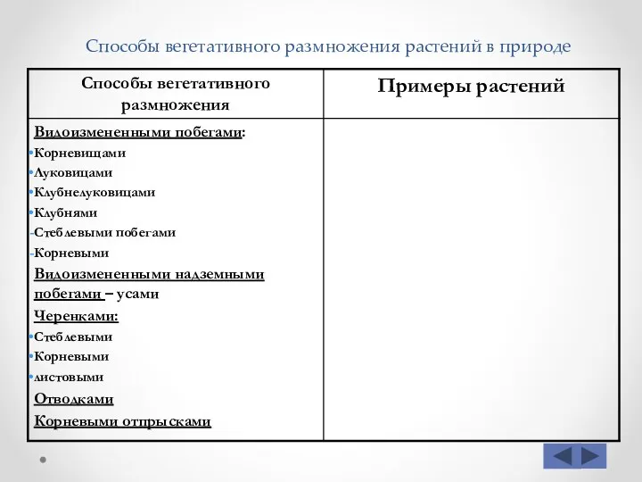 Заполните таблицу: Способы вегетативного размножения растений в природе