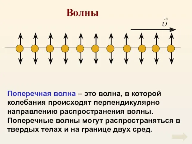 Волны Поперечная волна – это волна, в которой колебания происходят перпендикулярно направлению распространения