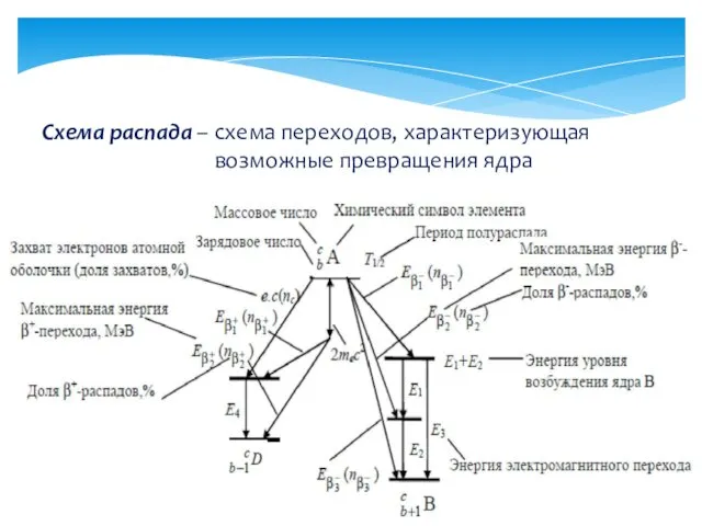 Схема распада – схема переходов, характеризующая возможные превращения ядра