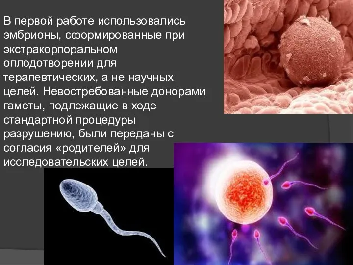 В первой работе использовались эмбрионы, сформированные при экстракорпоральном оплодотворении для терапевтических, а не