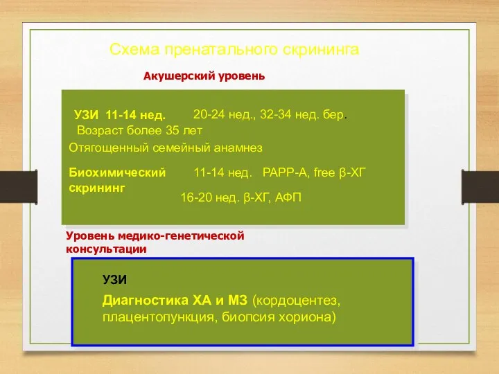 Схема пренатального скрининга УЗИ 11-14 нед. 20-24 нед., 32-34 нед.