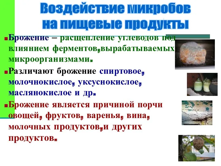 Воздействие микробов на пищевые продукты Брожение – расщепление углеводов под