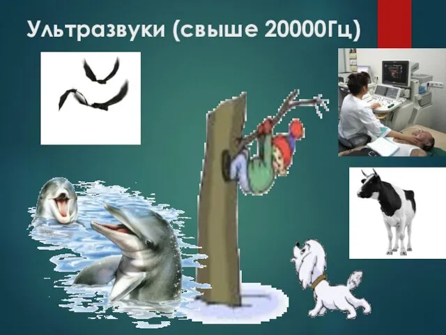 Ультразвуки (свыше 20000Гц)