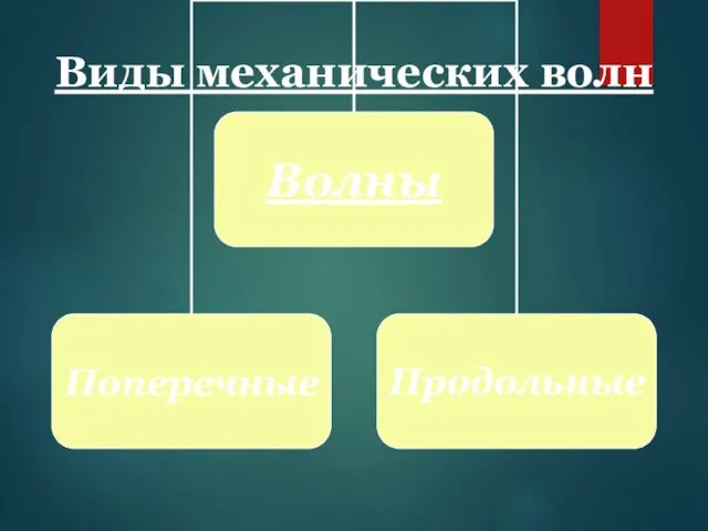 Виды механических волн