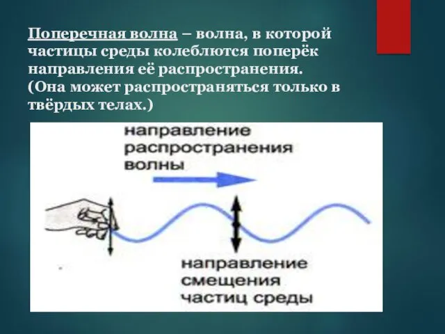 Поперечная волна – волна, в которой частицы среды колеблются поперёк