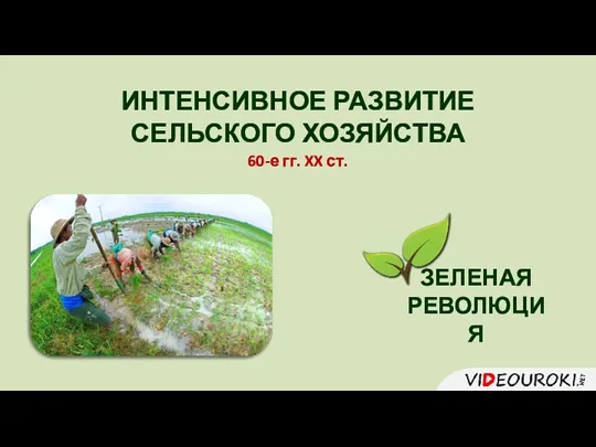 ИНТЕНСИВНОЕ РАЗВИТИЕ СЕЛЬСКОГО ХОЗЯЙСТВА 60-е гг. XX ст. ЗЕЛЕНАЯ РЕВОЛЮЦИЯ