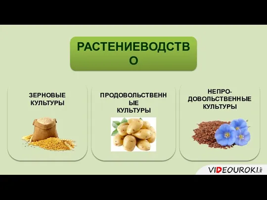 РАСТЕНИЕВОДСТВО ЗЕРНОВЫЕ КУЛЬТУРЫ НЕПРО-ДОВОЛЬСТВЕННЫЕ КУЛЬТУРЫ ПРОДОВОЛЬСТВЕННЫЕ КУЛЬТУРЫ