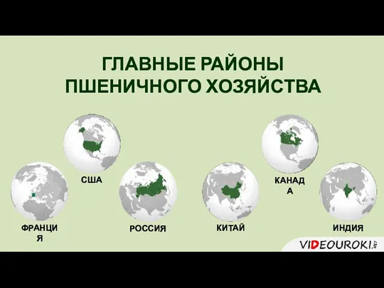 ГЛАВНЫЕ РАЙОНЫ ПШЕНИЧНОГО ХОЗЯЙСТВА США КАНАДА ФРАНЦИЯ РОССИЯ КИТАЙ ИНДИЯ