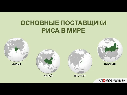 ОСНОВНЫЕ ПОСТАВЩИКИ РИСА В МИРЕ ИНДИЯ КИТАЙ ЯПОНИЯ РОССИЯ