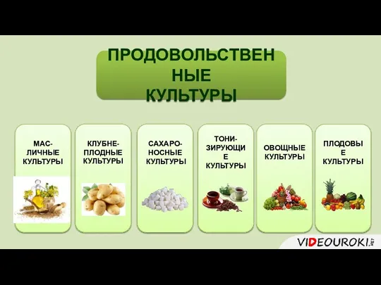 ПРОДОВОЛЬСТВЕННЫЕ КУЛЬТУРЫ МАС-ЛИЧНЫЕ КУЛЬТУРЫ ОВОЩНЫЕ КУЛЬТУРЫ САХАРО-НОСНЫЕ КУЛЬТУРЫ ТОНИ-ЗИРУЮЩИЕ КУЛЬТУРЫ ПЛОДОВЫЕ КУЛЬТУРЫ КЛУБНЕ-ПЛОДНЫЕ КУЛЬТУРЫ