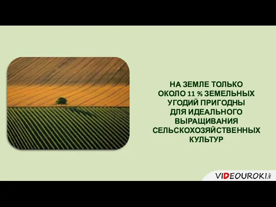 НА ЗЕМЛЕ ТОЛЬКО ОКОЛО 11 % ЗЕМЕЛЬНЫХ УГОДИЙ ПРИГОДНЫ ДЛЯ ИДЕАЛЬНОГО ВЫРАЩИВАНИЯ СЕЛЬСКОХОЗЯЙСТВЕННЫХ КУЛЬТУР