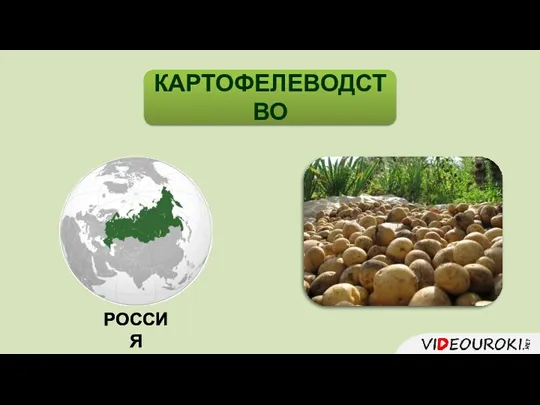 РОССИЯ КАРТОФЕЛЕВОДСТВО