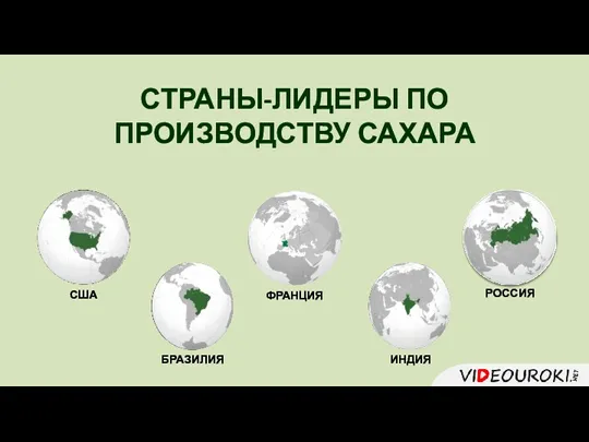 СТРАНЫ-ЛИДЕРЫ ПО ПРОИЗВОДСТВУ САХАРА ФРАНЦИЯ РОССИЯ США ИНДИЯ БРАЗИЛИЯ