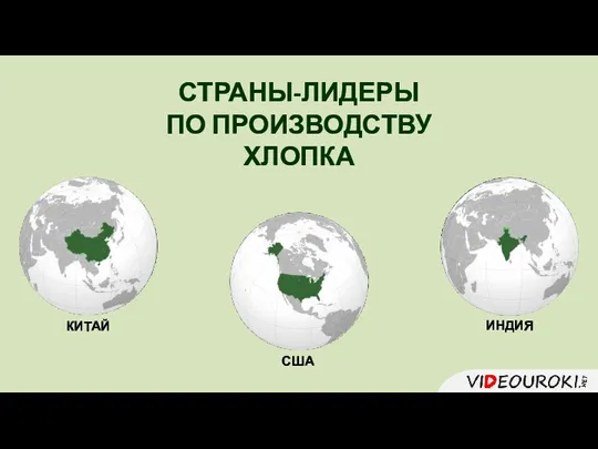 СТРАНЫ-ЛИДЕРЫ ПО ПРОИЗВОДСТВУ ХЛОПКА КИТАЙ ИНДИЯ США