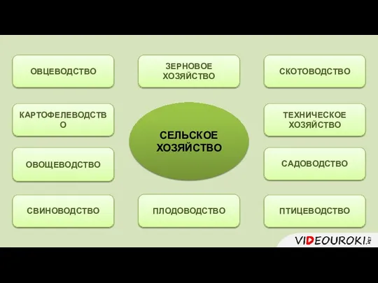 СЕЛЬСКОЕ ХОЗЯЙСТВО САДОВОДСТВО КАРТОФЕЛЕВОДСТВО ЗЕРНОВОЕ ХОЗЯЙСТВО ТЕХНИЧЕСКОЕ ХОЗЯЙСТВО ОВОЩЕВОДСТВО ПЛОДОВОДСТВО СКОТОВОДСТВО ПТИЦЕВОДСТВО СВИНОВОДСТВО ОВЦЕВОДСТВО