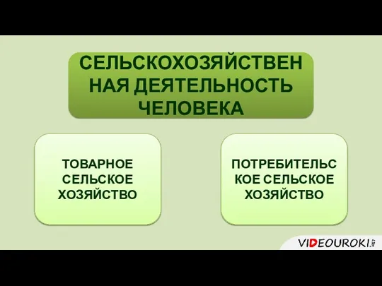 ПОТРЕБИТЕЛЬСКОЕ СЕЛЬСКОЕ ХОЗЯЙСТВО ТОВАРНОЕ СЕЛЬСКОЕ ХОЗЯЙСТВО СЕЛЬСКОХОЗЯЙСТВЕННАЯ ДЕЯТЕЛЬНОСТЬ ЧЕЛОВЕКА