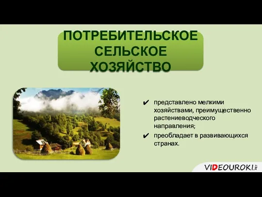 ПОТРЕБИТЕЛЬСКОЕ СЕЛЬСКОЕ ХОЗЯЙСТВО представлено мелкими хозяйствами, преимущественно растениеводческого направления; преобладает в развивающихся странах.