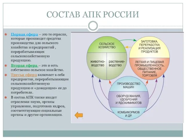 СОСТАВ АПК РОССИИ Первая сфера – это те отрасли, которые