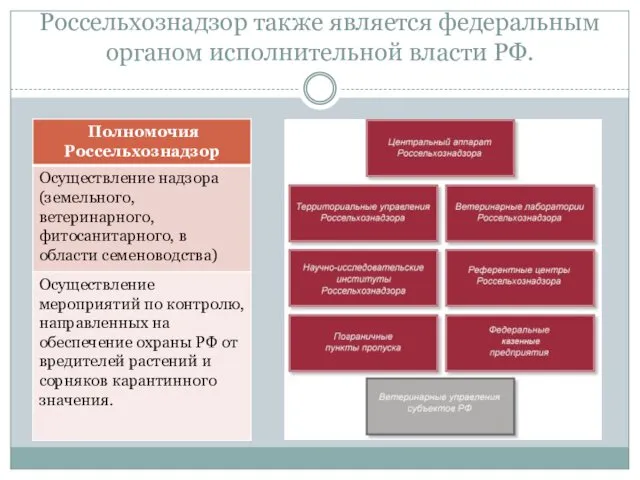 Россельхознадзор также является федеральным органом исполнительной власти РФ.