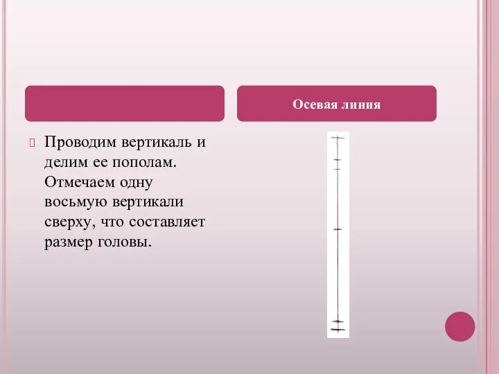 Проводим вертикаль и делим ее пополам. Отмечаем одну восьмую вертикали