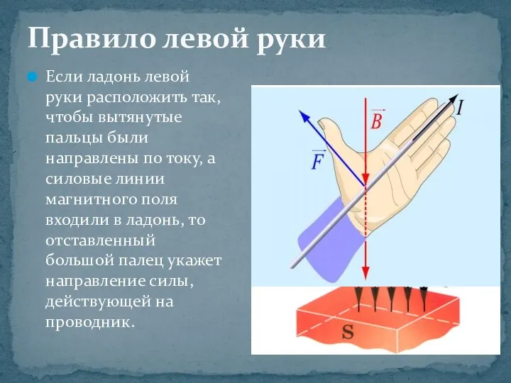 Если ладонь левой руки расположить так, чтобы вытянутые пальцы были