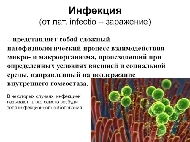 Инфекция (от лат. infectio – заражение) – представляет собой сложный