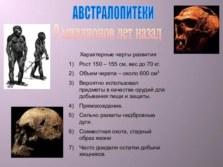АВСТРАЛОПИТЕКИ 9 миллионов лет назад Характерные черты развития Рост 150