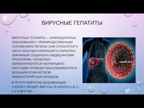 ВИРУСНЫЕ ГЕПАТИТЫ ВИРУСНЫЕ ГЕПАТИТЫ — ИНФЕКЦИОННЫЕ ЗАБОЛЕВАНИЯ С ПРЕИМУЩЕСТВЕННЫМ ПОРАЖЕНИЕМ