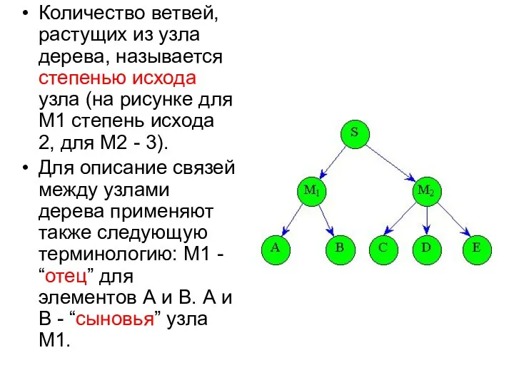 Количество ветвей, растущих из узла дерева, называется степенью исхода узла