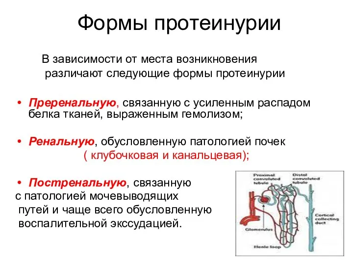 Преренальную, связанную с усиленным распадом белка тканей, выраженным гемолизом; Ренальную,