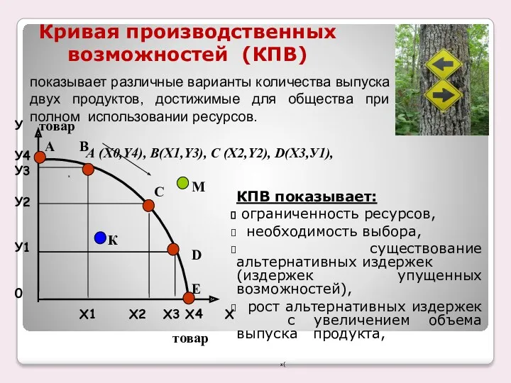 Кривая производственных возможностей (КПВ) показывает различные варианты количества выпуска двух