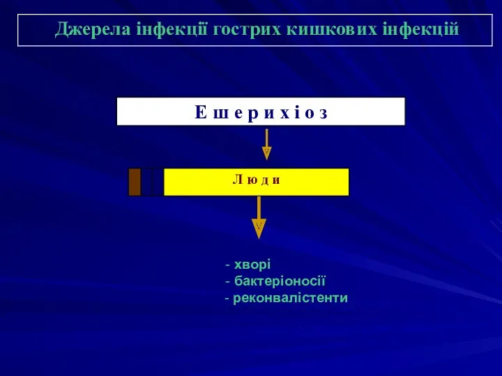 - хворі - бактеріоносії - реконвалістенти