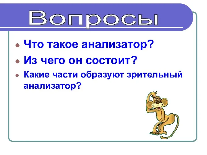 Что такое анализатор? Из чего он состоит? Какие части образуют зрительный анализатор? Вопросы