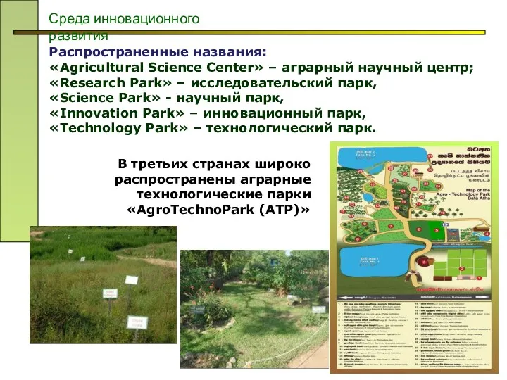 Среда инновационного развития Распространенные названия: «Agricultural Science Center» – аграрный научный центр; «Research