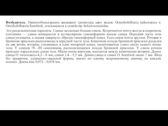 Возбудитель. Ориентобильхарциоз вызывают трематоды двух видов: Orienthobilhazia turkestanica и Ornithobilharzia