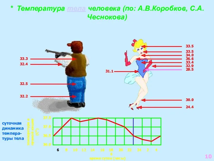 * Температура тела человека (по: А.В.Коробков, С.А.Чеснокова) 8 10 12