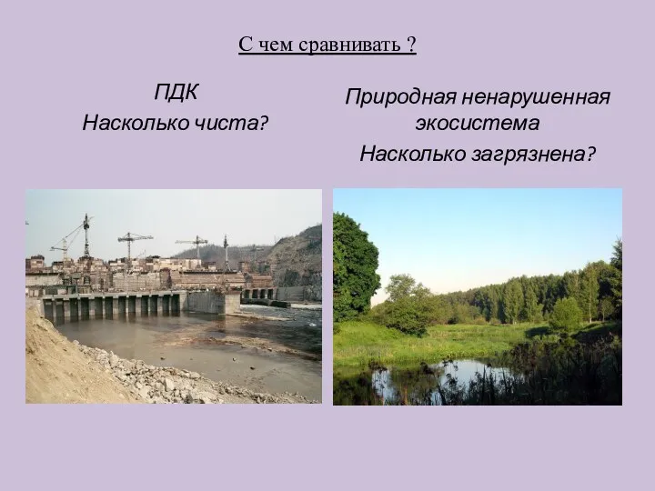 С чем сравнивать ? ПДК Насколько чиста? Природная ненарушенная экосистема Насколько загрязнена?