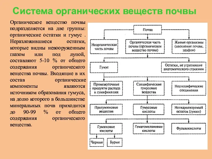 Система органических веществ почвы Органическое вещество почвы подразделяется на две