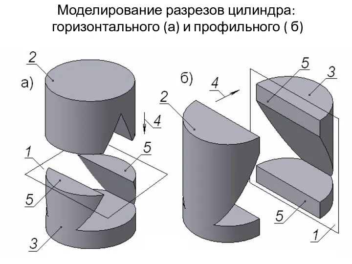 Моделирование разрезов цилиндра: горизонтального (а) и профильного ( б)