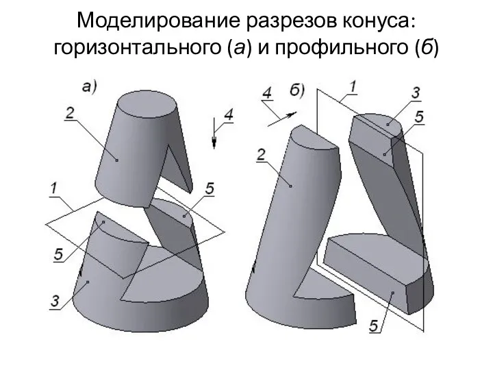Моделирование разрезов конуса: горизонтального (а) и профильного (б)