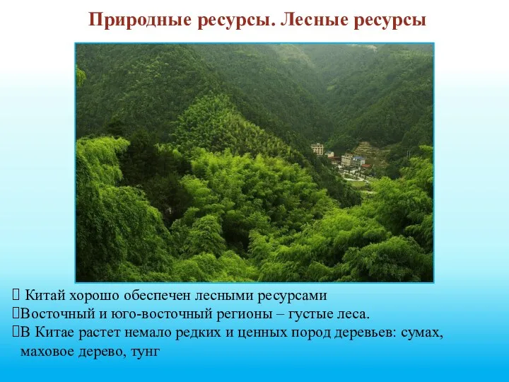 Природные ресурсы. Лесные ресурсы Китай хорошо обеспечен лесными ресурсами Восточный