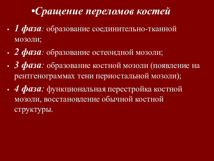 1 фаза: образование соединительно-тканной мозоли; 2 фаза: образование остеоидной мозоли;