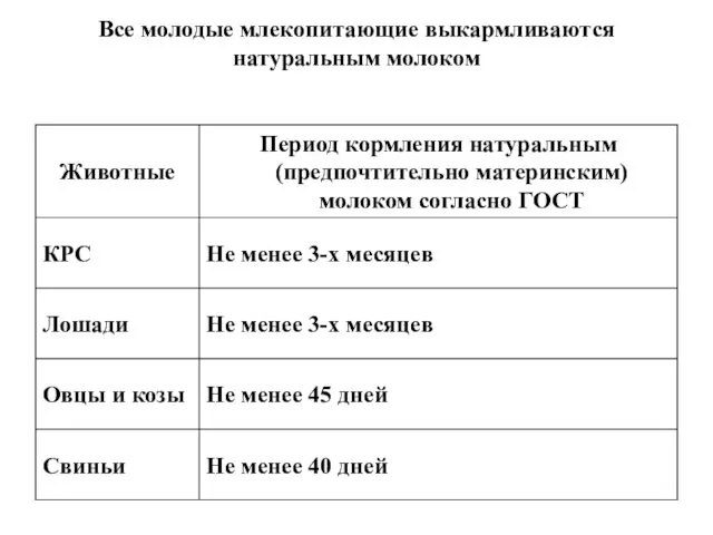 Все молодые млекопитающие выкармливаются натуральным молоком