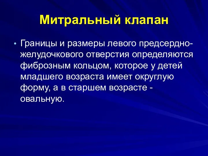 Митральный клапан Границы и размеры левого предсердно-желудочкового отверстия определяются фиброзным