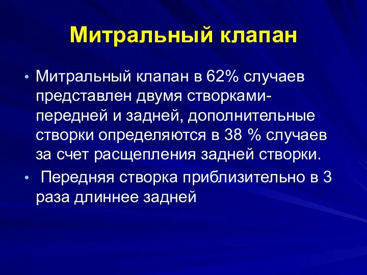 Митральный клапан Митральный клапан в 62% случаев представлен двумя створками-