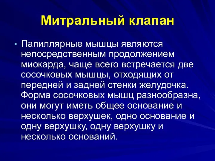 Митральный клапан Папиллярные мышцы являются непосредственным продолжением миокарда, чаще всего