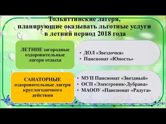 Тольяттинские лагеря, планирующие оказывать льготные услуги в летний период 2018 года