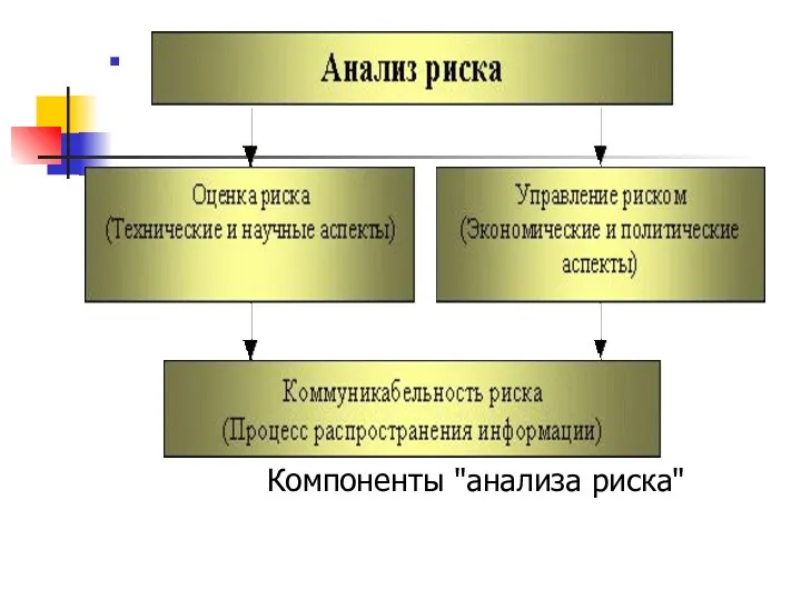 Компоненты "анализа риска"